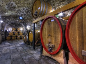 VALTELLINA 1