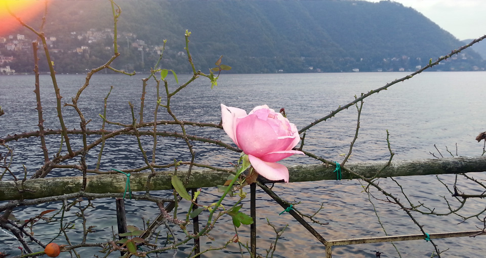 007_como